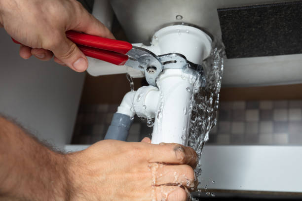 Best Mold removal after water damage  in Roy, UT