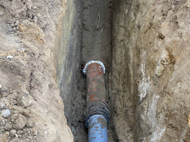 Best Flood restoration services  in Roy, UT
