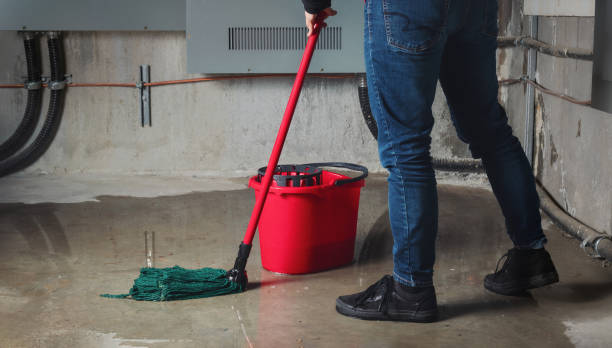 Professional Water damage restoration in Roy, UT