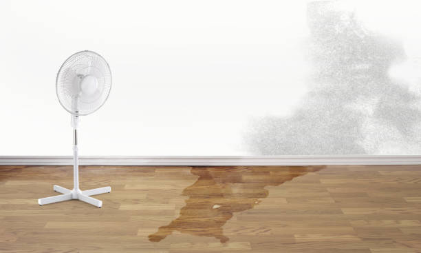 Fire Damage Restoration in Roy, UT