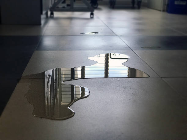 Best Water damage cleanup near me  in Roy, UT