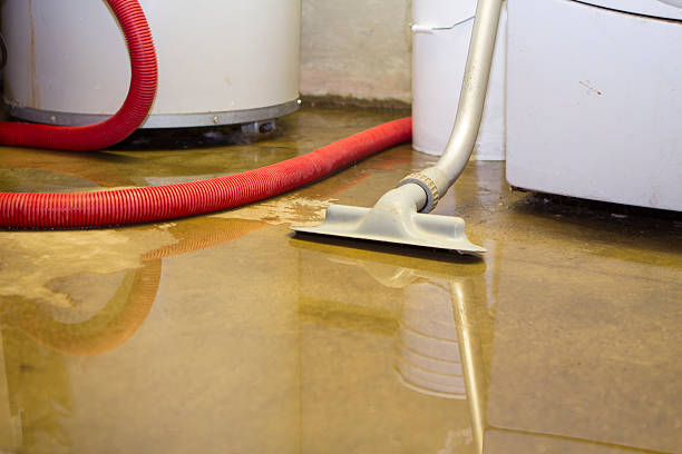 Best Residential water damage restoration  in Roy, UT