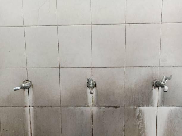 Best Flooded house restoration  in Roy, UT