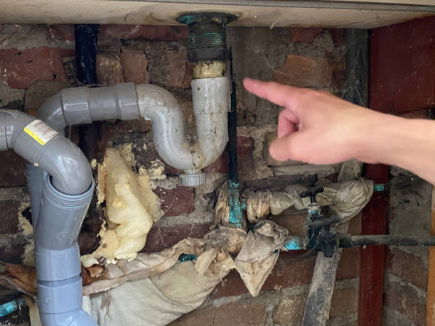 Best 24-hour water damage restoration  in Roy, UT