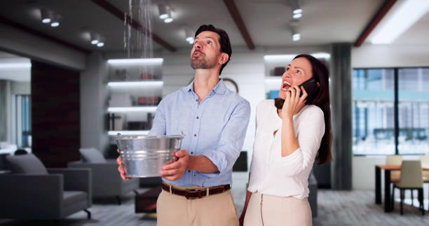 Best Fire Damage Restoration  in Roy, UT