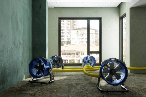 Best 24/7 water damage repair  in Roy, UT